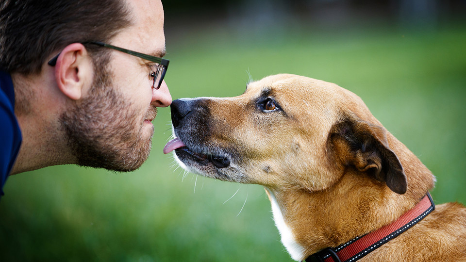 Dog researcher discusses breed-behavior link  