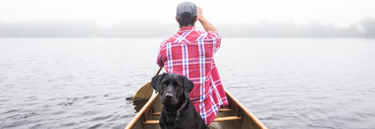 Dog in canoe