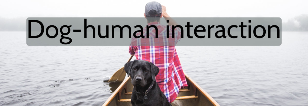 Dog-human interaction