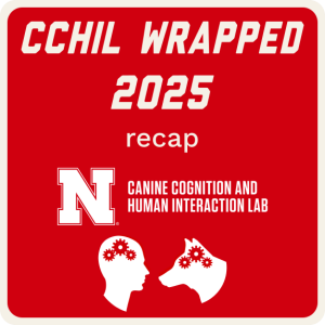 CCHIL Wrapped 2025