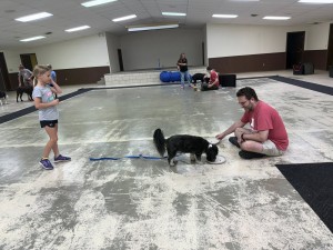 Image of black and white dog eating treats from a plate while experimenter and handler watch