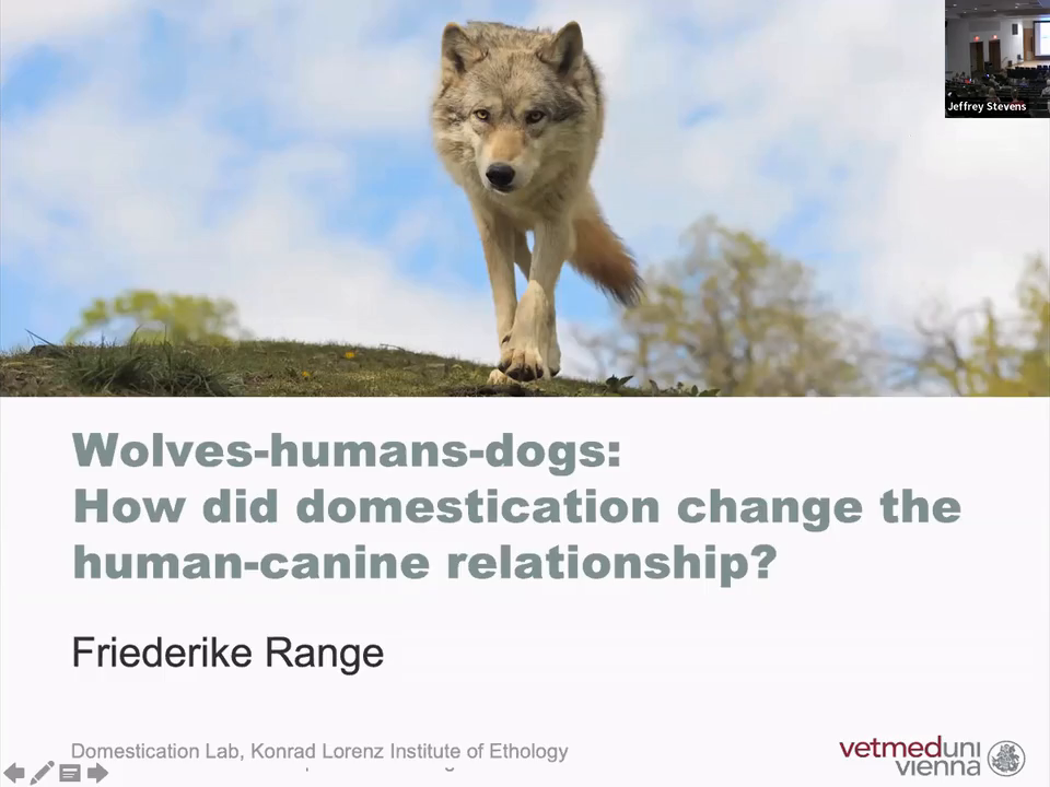 Title slide for Dr. Friederike Range's presentation with image of grey wolf walking toward viewer