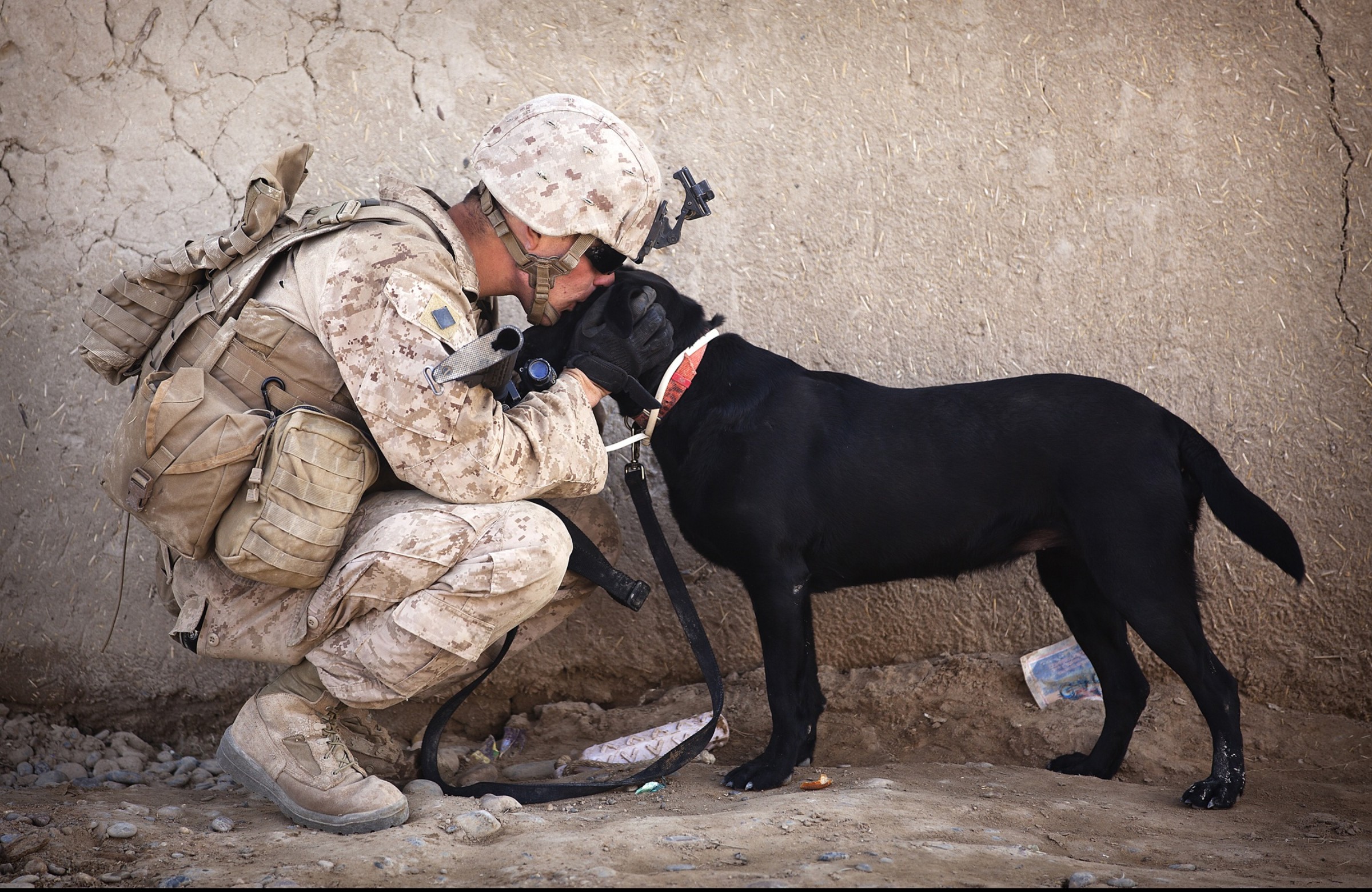 Soldier with black dog.