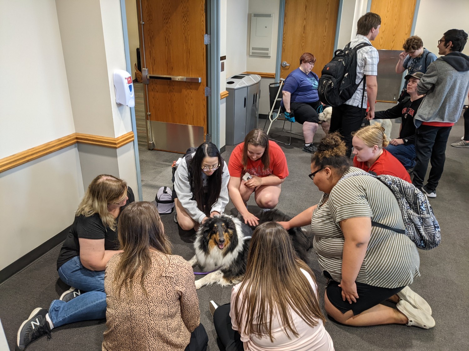 Students sitting on the floor petting a therapy dog