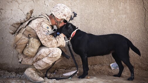 Soldier with black dog.