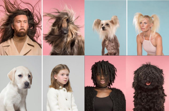 Four images of dog owners who look like their dogs.