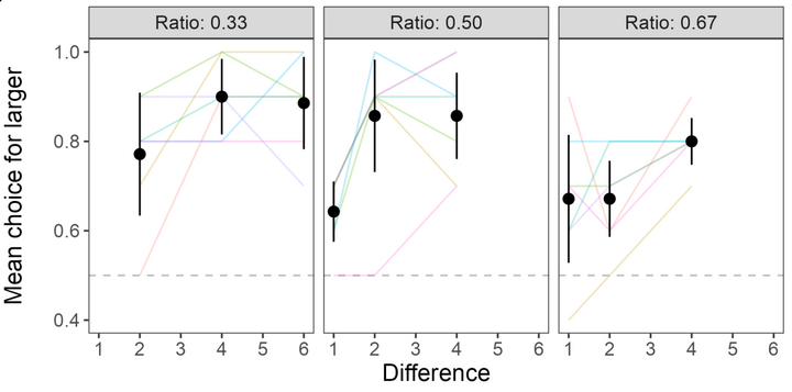 Three-panel figure showing mean percent choice for larger quantity as a function of numerical difference with each panel representing one ratio: 0.33, 0.50, and 0.67. Figure shows individual dog responses as lines and mean and 95% confidence intervals as dogs and error bars. Mean choice increases with difference in all three panels.